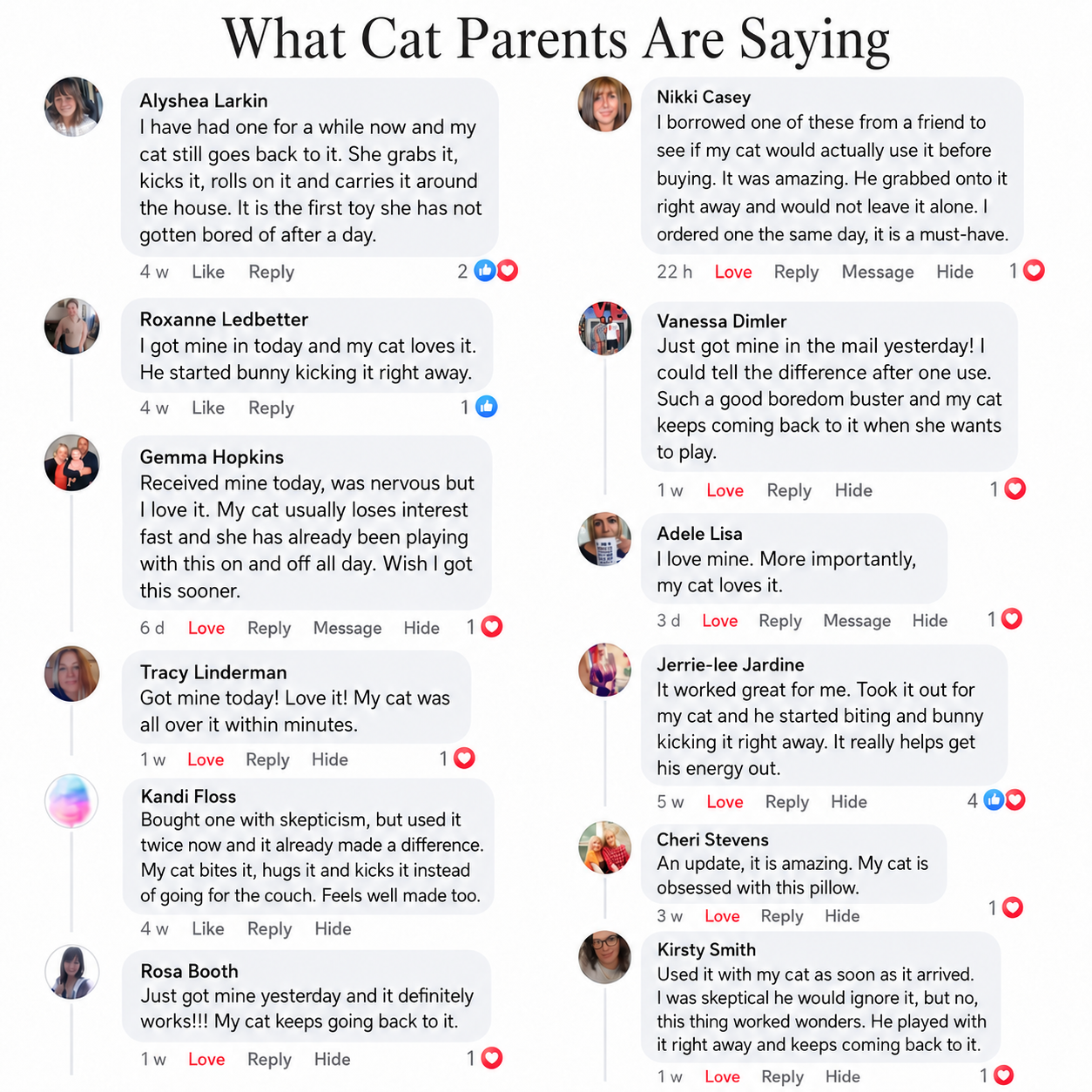 KickPurr™ Catnip Pillow